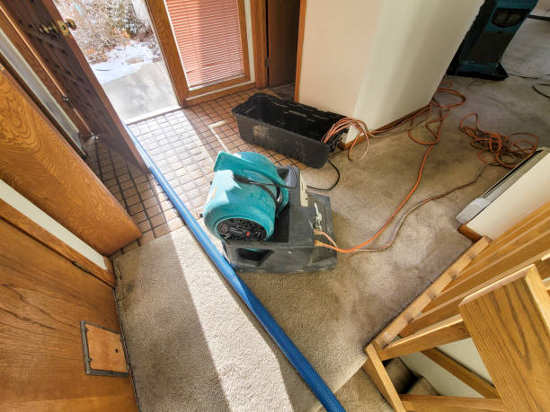 Trusted Union, NJ Water damage restoration Experts