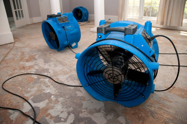 Best Commercial water damage restoration  in Union, NJ