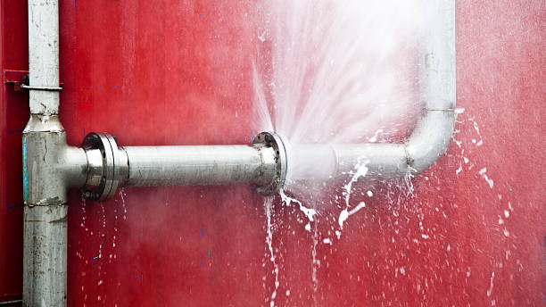 Best Ceiling water damage repair  in Union, NJ